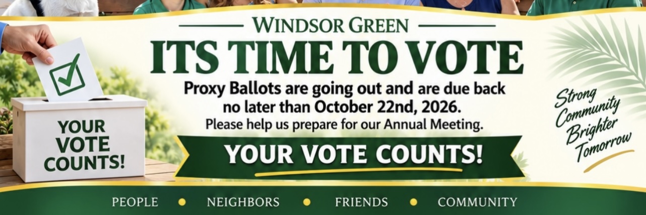 Time to Vote Windsor Green
